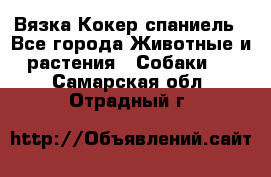 Вязка Кокер спаниель - Все города Животные и растения » Собаки   . Самарская обл.,Отрадный г.